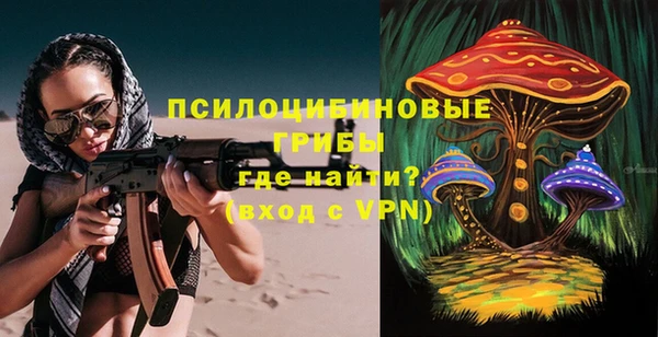 прущие грибы Алексеевка